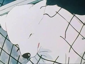名犬ジョリィ Season 1 Ep.1 1. epizód