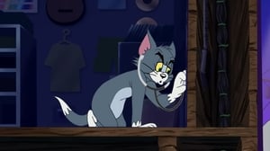 Tom és Jerry újabb kalandjai 2. évad Ep.31 Macska buli