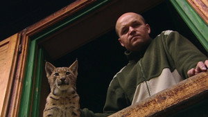 The Lynx Liaison háttérkép
