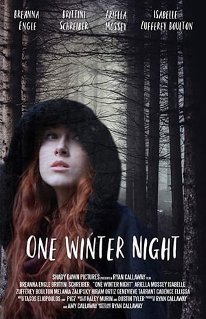 One Winter Night poszter