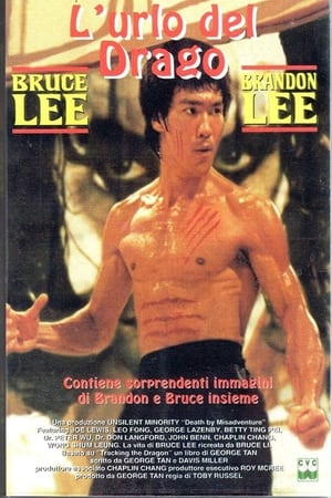 Death by Misadventure: The Mysterious Life of Bruce Lee poszter