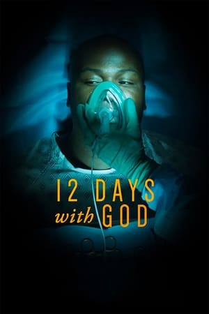 12 Days With God poszter