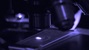 INVISIBILITY háttérkép
