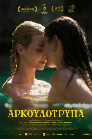 Αρκουδότρυπα poszter