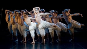 Matthew Bourne's Swan Lake háttérkép