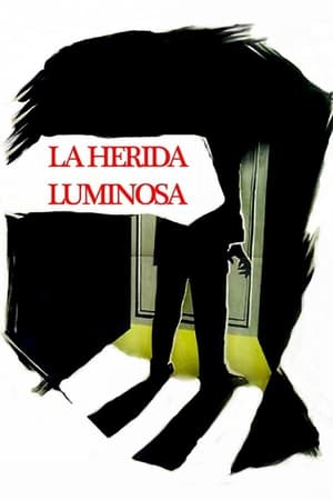 La herida luminosa poszter