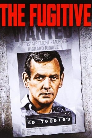 The Fugitive