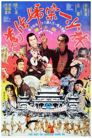 萬法歸宗一少林 poszter