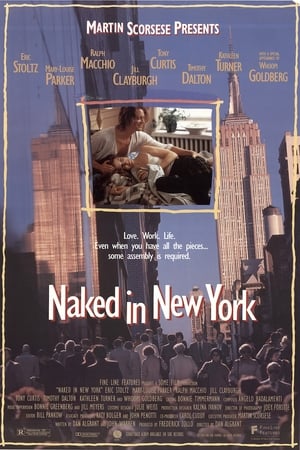 Naked in New York poszter