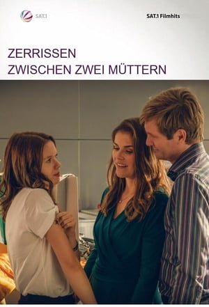 Zerrissen - Zwischen zwei Müttern poszter