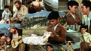 El ruiseñor de las cumbres háttérkép