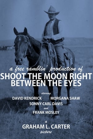 Shoot the Moon Right Between the Eyes poszter