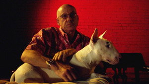 James Ellroy : american dog háttérkép