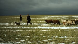 Hiver nomade háttérkép