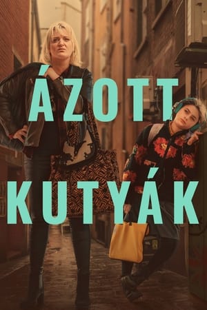 Ázott kutyák