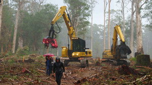 Cry of the Forests - A Western Australian Story háttérkép