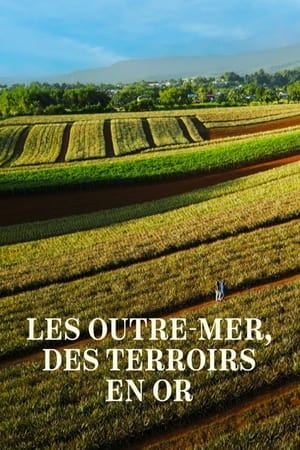 Les Outre-mer, des terroirs en or poszter