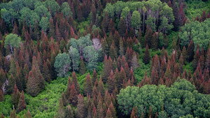 Secrets of Our Living Planet kép