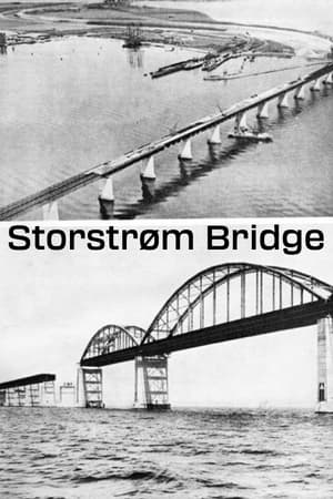 Storstrømsbroen poszter