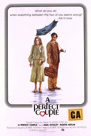 A Perfect Couple poszter
