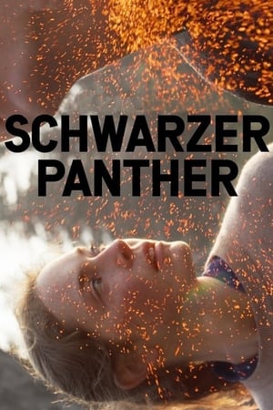 Schwarzer Panther poszter