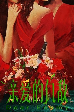亲爱的仇敌 poszter