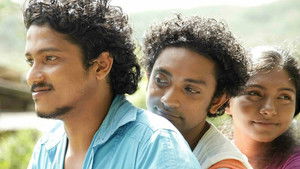 සය පෙති කුසුම háttérkép