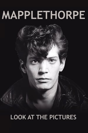 Mapplethorpe: Look at the Pictures poszter