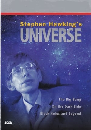 Stephen Hawking és a mindenség elmélete