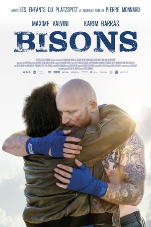 Bisons poszter