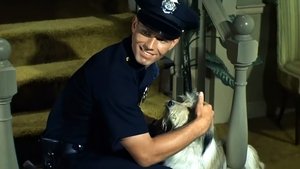 Adam-12 1. évad Ep.12 12. epizód