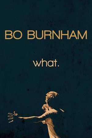 Bo Burnham: What.