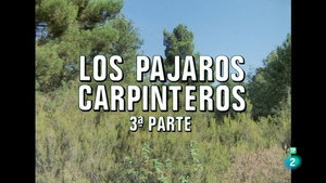 El hombre y la Tierra 2. évad Ep.40 40. epizód