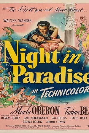 Night in Paradise poszter