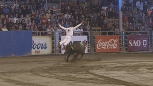 Bull Jumping háttérkép