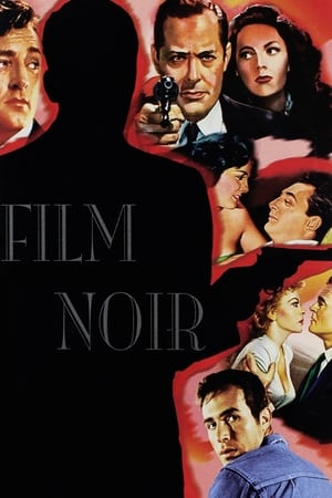 Film Noir: Bringing Darkness to Light poszter