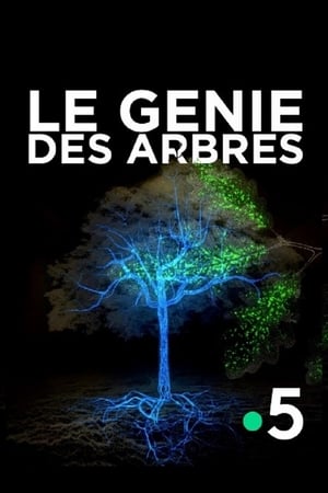 Le génie des arbres poszter