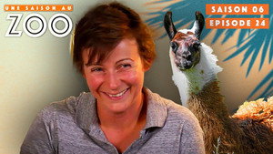 Une saison au zoo Season 6 Ep.24 24. epizód