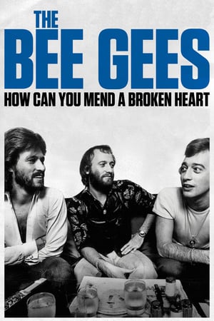 The Bee Gees: How Can You Mend a Broken Heart poszter