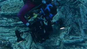 Dive Detectives kép