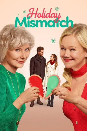 Holiday Mismatch poszter