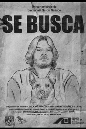 Se Busca poszter