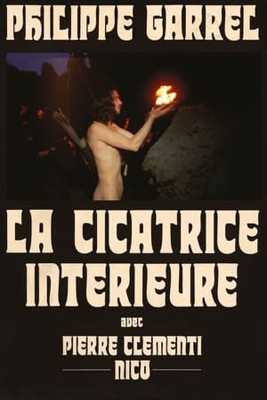 La cicatrice intérieure poszter