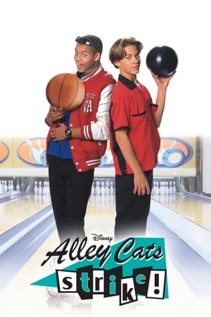 Alley Cats Strike poszter