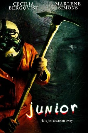 Junior poszter