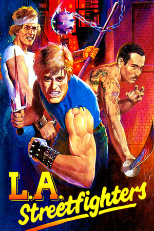 Los Angeles Streetfighter poszter