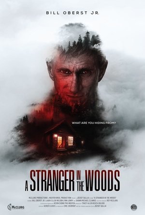 A Stranger in the Woods poszter