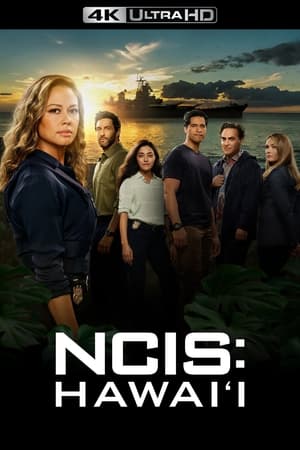 NCIS: Hawaii poszter