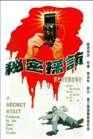 秘密采访 poszter