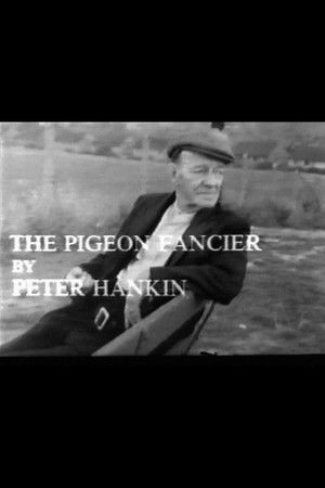 The Pigeon Fancier poszter